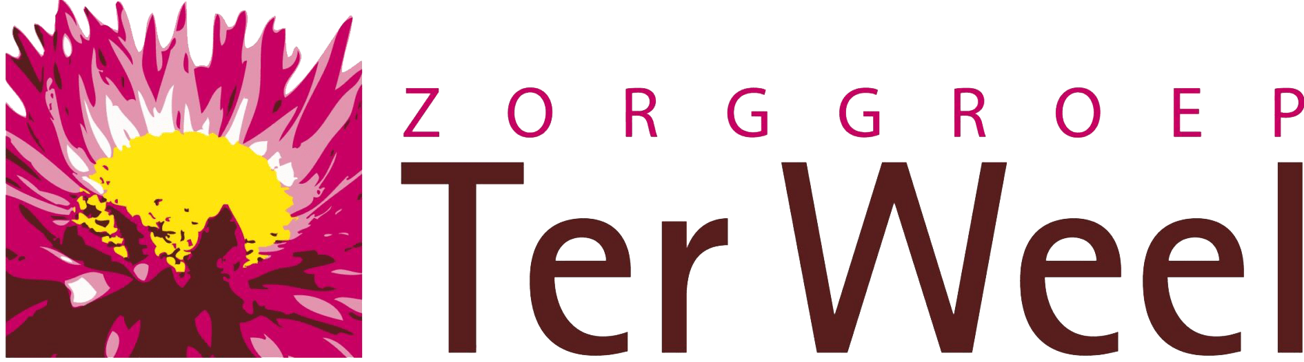 Ter weel logo